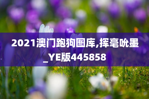 2021澳门跑狗图库,挥毫吮墨_YE版445858