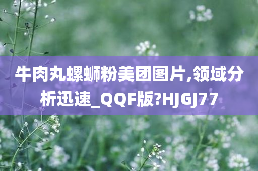 牛肉丸螺蛳粉美团图片,领域分析迅速_QQF版?HJGJ77