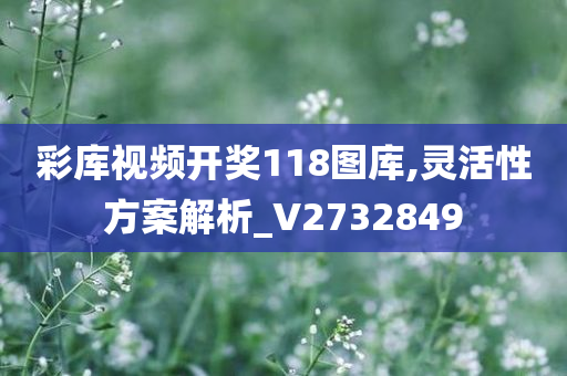 彩库视频开奖118图库,灵活性方案解析_V2732849