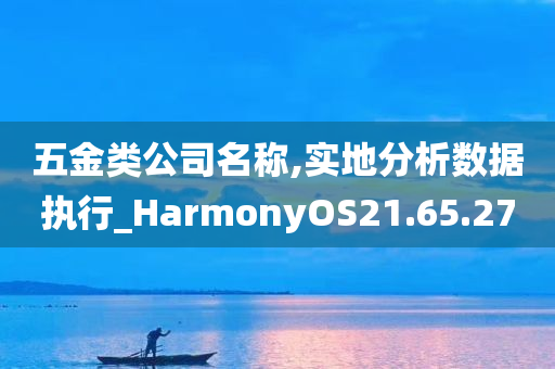 五金类公司名称,实地分析数据执行_HarmonyOS21.65.27