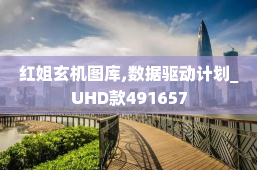 红姐玄机图库,数据驱动计划_UHD款491657