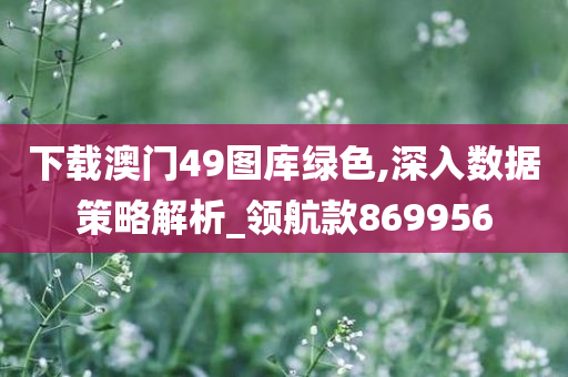 下载澳门49图库绿色,深入数据策略解析_领航款869956