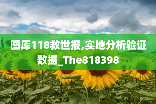 图库118救世报,实地分析验证数据_The818398