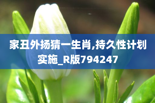 家丑外扬猜一生肖,持久性计划实施_R版794247