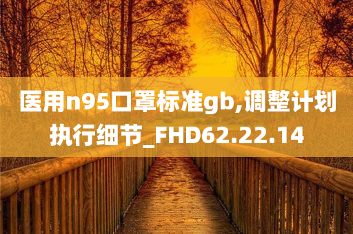 医用n95口罩标准gb,调整计划执行细节_FHD62.22.14