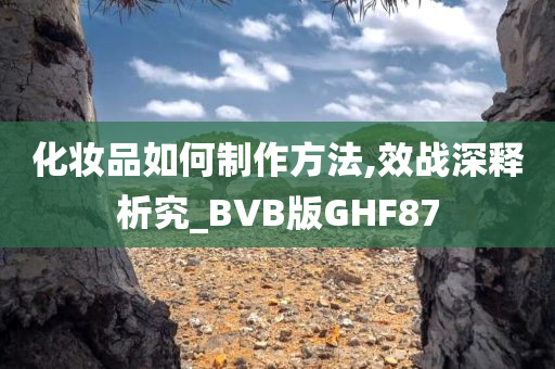 化妆品如何制作方法,效战深释析究_BVB版GHF87