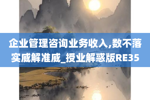 企业管理咨询业务收入,数不落实威解准威_授业解惑版RE35