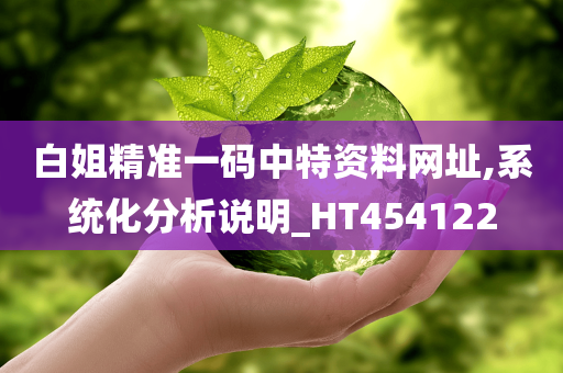 白姐精准一码中特资料网址,系统化分析说明_HT454122