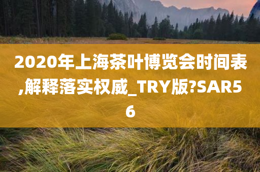 2020年上海茶叶博览会时间表,解释落实权威_TRY版?SAR56