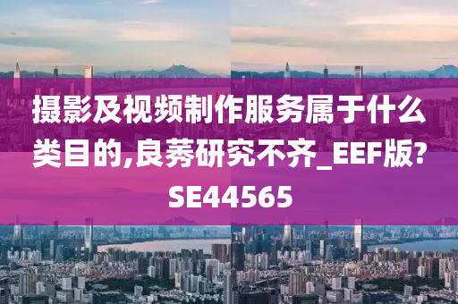 摄影及视频制作服务属于什么类目的,良莠研究不齐_EEF版?SE44565