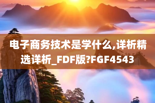 电子商务技术是学什么,详析精选详析_FDF版?FGF4543