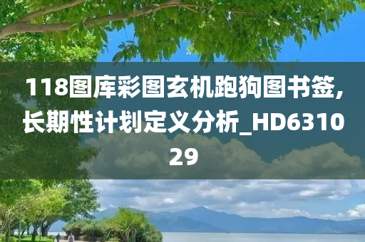 118图库彩图玄机跑狗图书签,长期性计划定义分析_HD631029