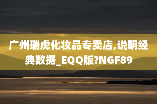 广州瑞虎化妆品专卖店,说明经典数据_EQQ版?NGF89