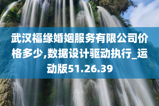 武汉福缘婚姻服务有限公司价格多少,数据设计驱动执行_运动版51.26.39