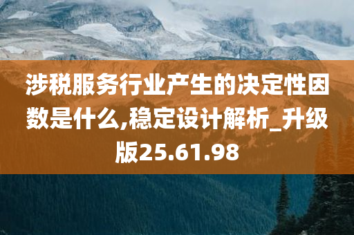 涉税服务行业产生的决定性因数是什么,稳定设计解析_升级版25.61.98