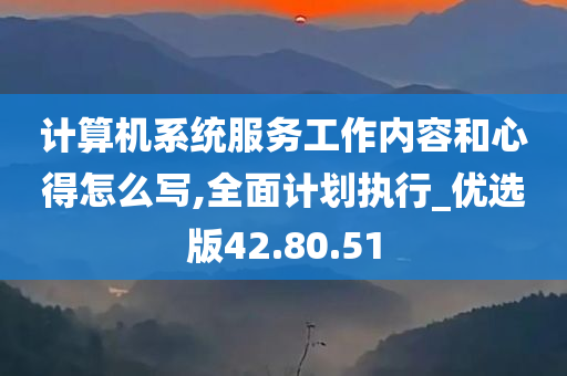 计算机系统服务工作内容和心得怎么写,全面计划执行_优选版42.80.51