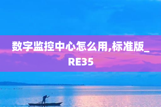 数字监控中心怎么用,标准版_RE35