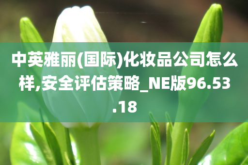 中英雅丽(国际)化妆品公司怎么样,安全评估策略_NE版96.53.18