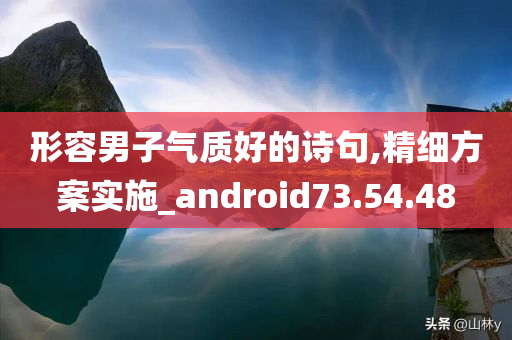 形容男子气质好的诗句,精细方案实施_android73.54.48