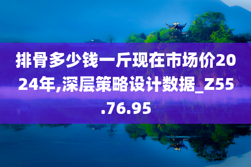 排骨多少钱一斤现在市场价2024年,深层策略设计数据_Z55.76.95