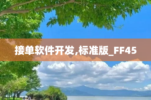 接单软件开发,标准版_FF45