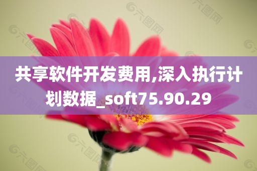 共享软件开发费用,深入执行计划数据_soft75.90.29