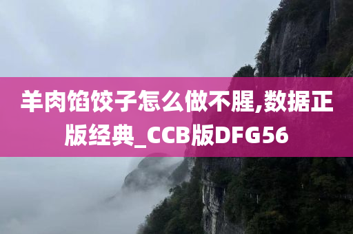 羊肉馅饺子怎么做不腥,数据正版经典_CCB版DFG56