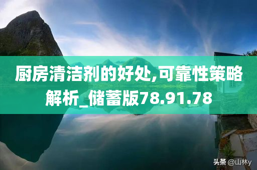 厨房清洁剂的好处,可靠性策略解析_储蓄版78.91.78