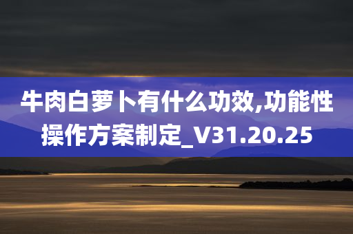 牛肉白萝卜有什么功效,功能性操作方案制定_V31.20.25