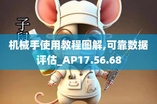 机械手使用教程图解,可靠数据评估_AP17.56.68