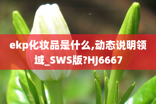 ekp化妆品是什么,动态说明领域_SWS版?HJ6667