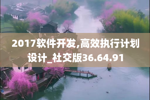 2017软件开发,高效执行计划设计_社交版36.64.91