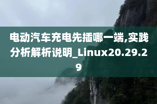 电动汽车充电先插哪一端,实践分析解析说明_Linux20.29.29