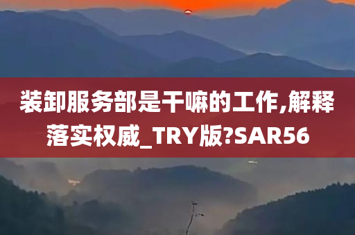 装卸服务部是干嘛的工作,解释落实权威_TRY版?SAR56