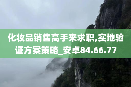 化妆品销售高手来求职,实地验证方案策略_安卓84.66.77