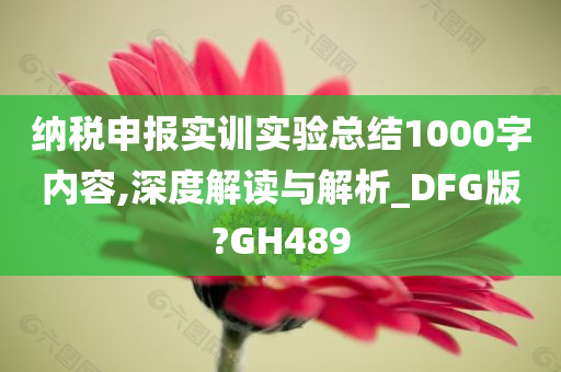 纳税申报实训实验总结1000字内容,深度解读与解析_DFG版?GH489