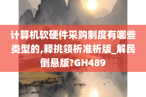 计算机软硬件采购制度有哪些类型的,释挑领析准析版_解民倒悬版?GH489