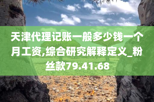 天津代理记账一般多少钱一个月工资,综合研究解释定义_粉丝款79.41.68