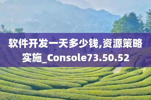 软件开发一天多少钱,资源策略实施_Console73.50.52