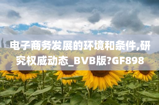 电子商务发展的环境和条件,研究权威动态_BVB版?GF898