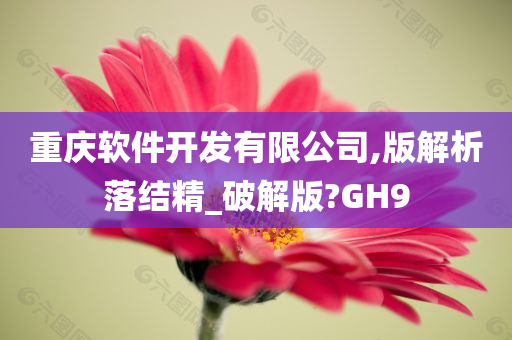 重庆软件开发有限公司,版解析落结精_破解版?GH9