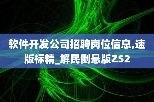 软件开发公司招聘岗位信息,速版标精_解民倒悬版ZS2