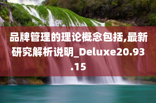 品牌管理的理论概念包括,最新研究解析说明_Deluxe20.93.15