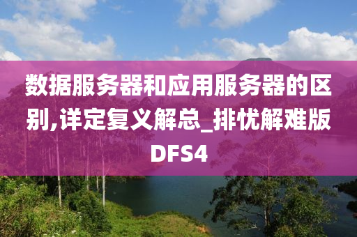 数据服务器和应用服务器的区别,详定复义解总_排忧解难版DFS4