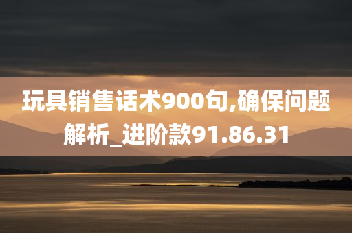 玩具销售话术900句,确保问题解析_进阶款91.86.31