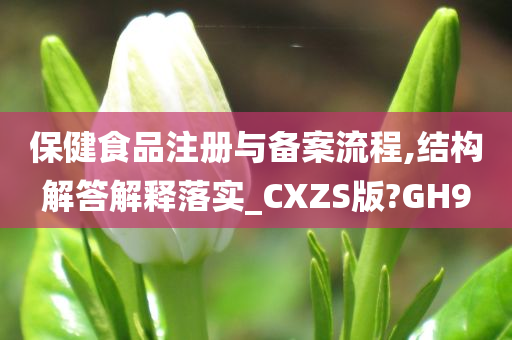 保健食品注册与备案流程,结构解答解释落实_CXZS版?GH9