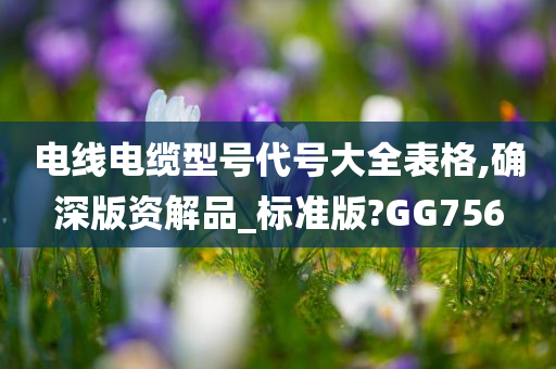 电线电缆型号代号大全表格,确深版资解品_标准版?GG756