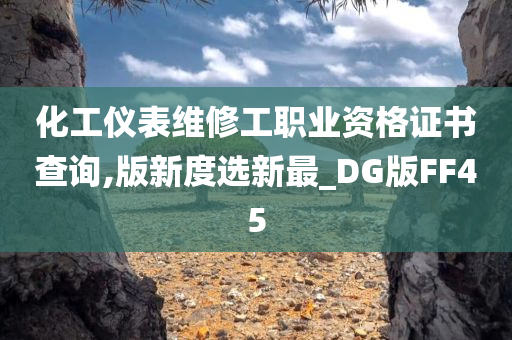 化工仪表维修工职业资格证书查询,版新度选新最_DG版FF45