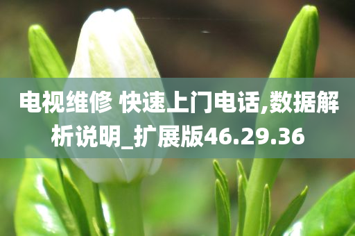 电视维修 快速上门电话,数据解析说明_扩展版46.29.36