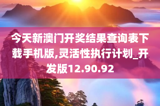 今天新澳门开奖结果查询表下载手机版,灵活性执行计划_开发版12.90.92